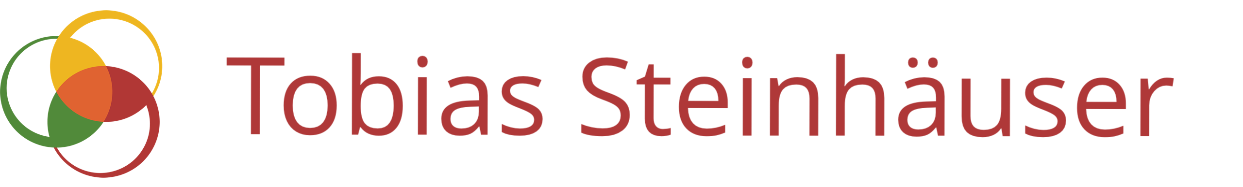 Tobias Steinhaeuser - Logo mit Schrift